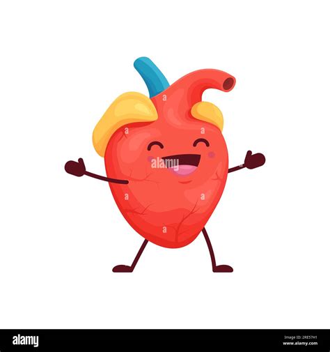Cartoon Human Heart Body Organ Kawaii Character Vector Happy And