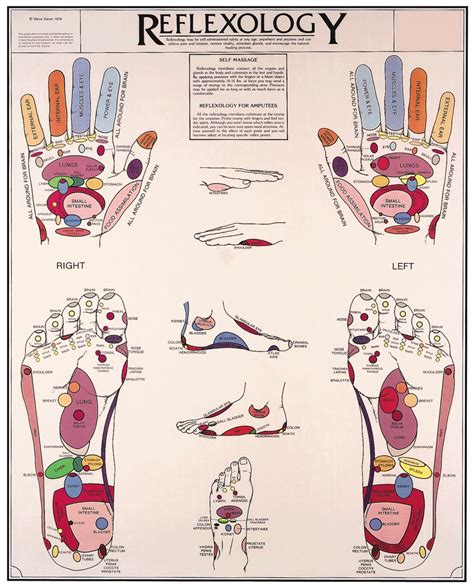 Reflexology Hands And Feet Chart Flexible Lamination