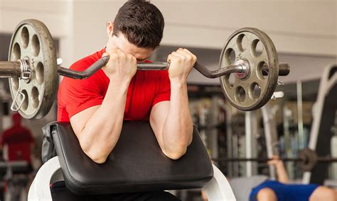 Preacher Curl Benefits Muscles Worked How To Do It Correctly