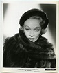 Marlene Dietrichs Privatleben: Ein Ehemann und ein Dutzend Liebhaber