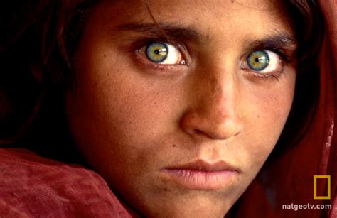 National Geographics Iconic Green Eyed Afghan Girl Arrested In