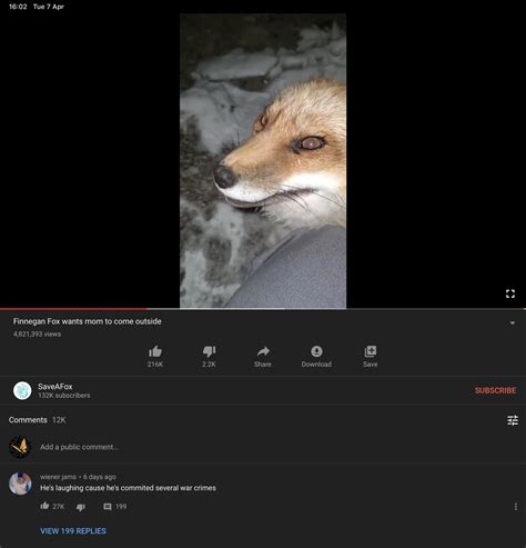 Cursed Fox Rcursedcomments