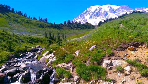 Skyline Trail Parc National De Mount Rainier Ce Quil Faut Savoir