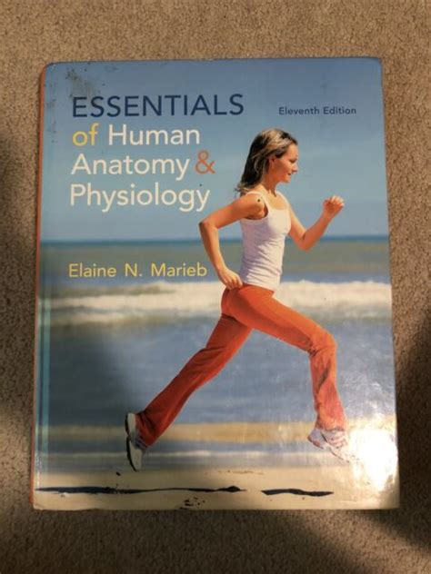 Essentials Of Human Anatomy And Physiology 11th Edition Ebay