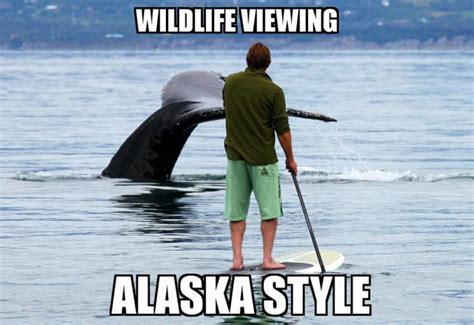 30 Hilariously Accurate Memes About Alaska