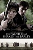 The Wind that Shakes the Barley (2006) - IMDb
