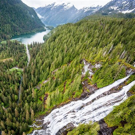 Great Bear Rainforest 2019 By Ian Mcallister