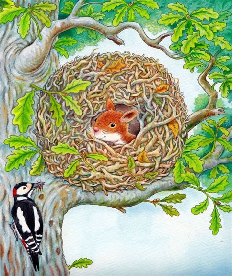 Sie können selbst ein solches nest bauen und den kletterkünstlern im garten. Eichhörnchen-Bild von Kerry Kuss auf Just for Squirrels ...
