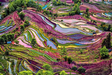 Chinas Rice Terraces The Most Beautiful In The World