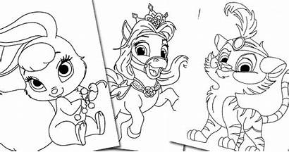 Pets Palace Coloring Pages Disneyclips