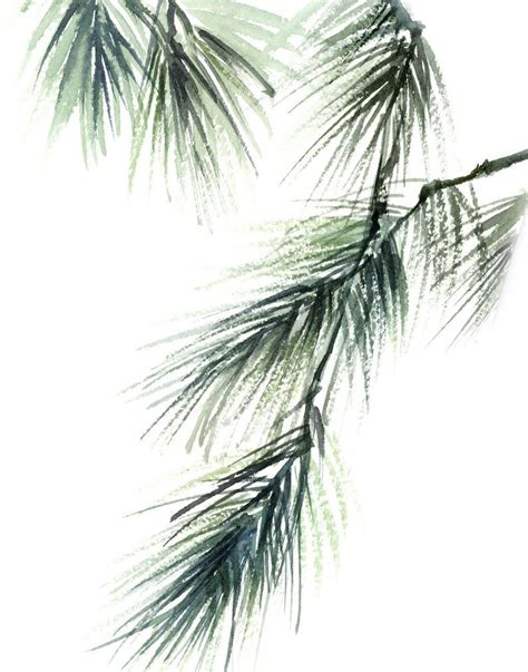Pine Tree Branch Print Minimalist Art Print Botanical Etsy