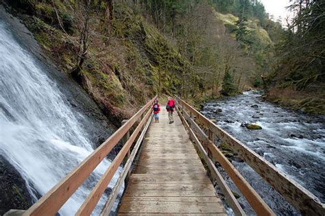 Wahclella Falls Hike Hiking In Portland Oregon And Washington