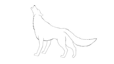 Howling Wolf Lineart By Coolcat On Deviantart