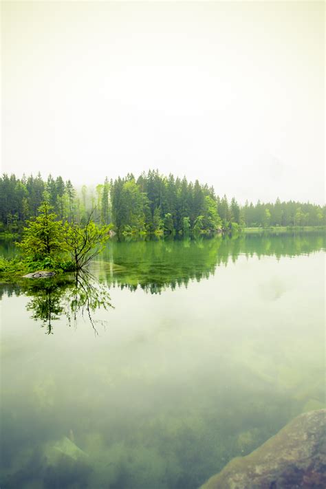 Free Images Landscape Tree Water Nature Forest Grass Sky Fog