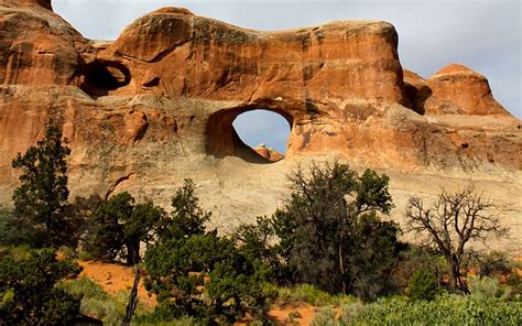 3440x1440px Free Download Hd Wallpaper Erosion Trees Rock