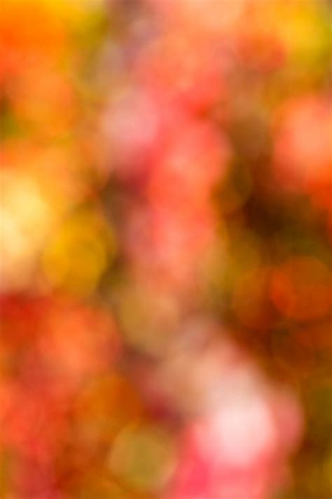 Autumn Colors Background Free Stock Photo Public Domain Pictures