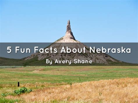 5 Fun Facts About Nebraska By Avery Shane