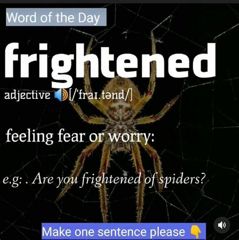 Word Of The Day Frightened Synonyms Scare Terrify Panic Personally
