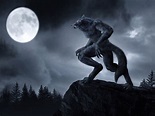 ¿Hombre lobo mito o leyenda?