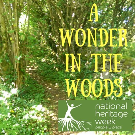 A Wonder In The Woods 2016 Nature School