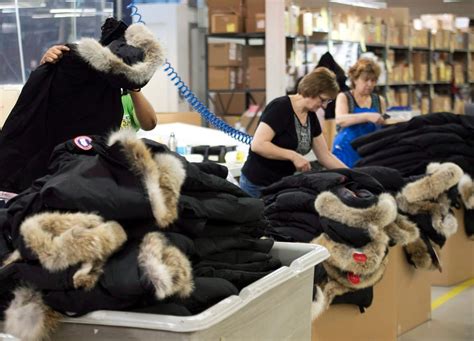 taxpayers will be on the hook fur traders group says canada goose decision won t stop