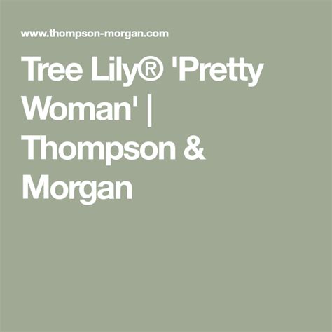 tree lily® pretty woman thompson and morgan pretty woman tree lily pretty