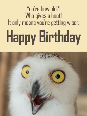 It is real fun to send or share some hilarious funny birthday photos to the person who is very close to our heart. 200+ Funny Happy Birthday Wishes Quotes Ever - FungiStaaan