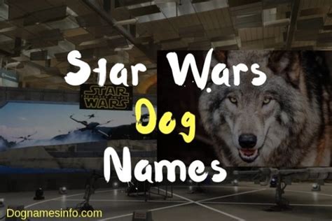 Top 500 Star Wars Dog Names 2024