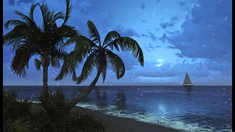 1 Hour Of Tropical Beach Sounds At Night Relaxing Sea Waves To Help