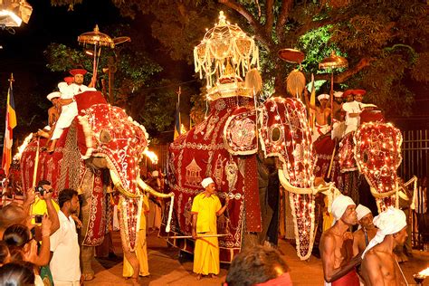 Esala Perahera Sri Lankas Favourite Festival The Inside Track