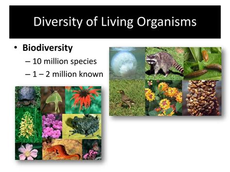 Ppt Diversity Of Living Organisms Powerpoint Presentation Free