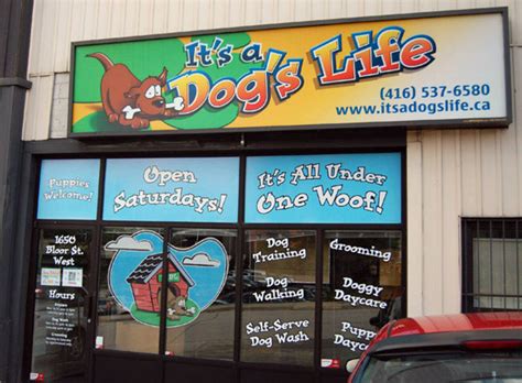 Its A Dogs Life Blogto Toronto