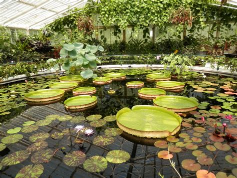 Royal Botanic Gardens At Kew On The List
