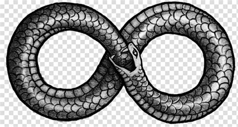 Pin amazing png images that you like. Snake infinity illustration, Snake The Cosmic Serpent ...