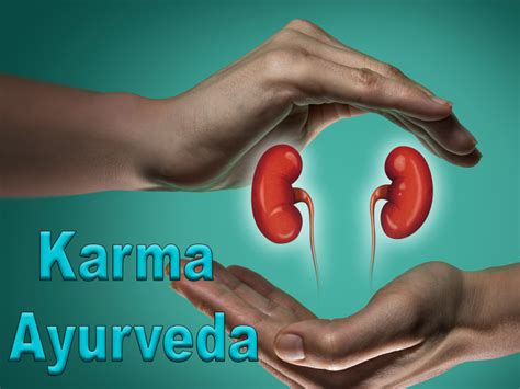 Karma Aayurveda Creatinine Level Treatment In Ayurveda Karma Ayurveda