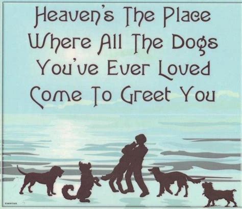 All Dogs Go To Heaven Dog Heaven Dog Quotes I Love Dogs