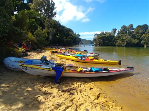 Guided Sea Kayak Tours Stewart Island New Zealand