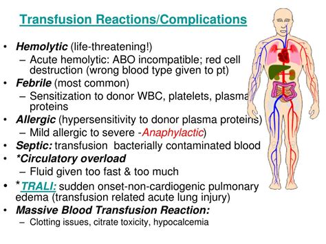 Blood Transfusion Procedure Reasons Complications Britannica Hot Sex