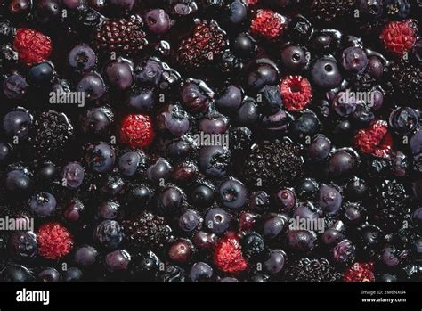 Berries Overhead Closeup Baked On Tart Colorful Assorted Mix Of