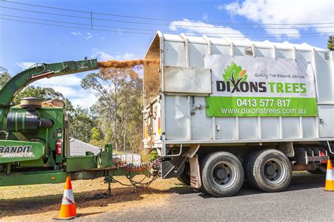 Expert Tree Chipping And Mulching Services Dixons Trees