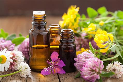 A Big List Of Essential Oils And Their Healing Uses True Relaxations