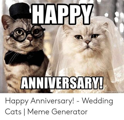 Work Anniversary Meme Cat Funny Work Anniversary Quotes To Put Smile