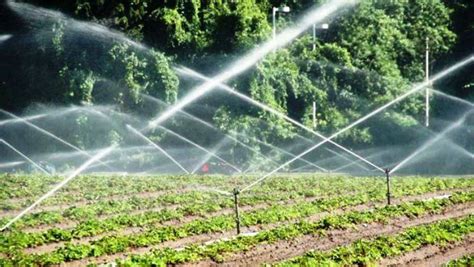 Sprinkler Irrigation A Potential Micro Irrigation System For Increased