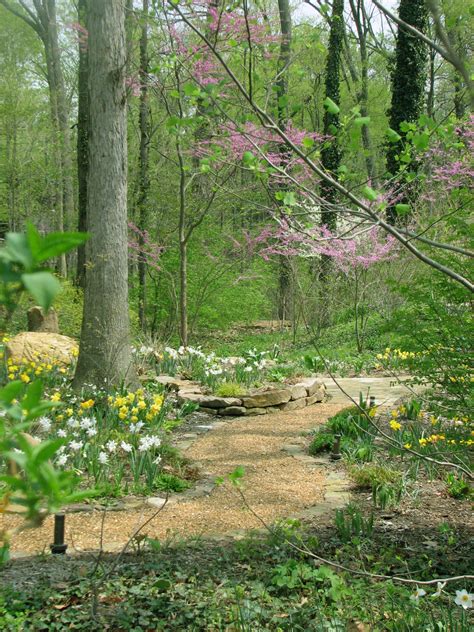 How To Create A Small Woodland Garden Best Secret Gardens Ideas 51