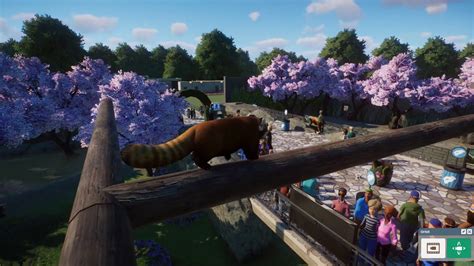 Simple Red Panda Enclosure Planet Zoo Franchise Youtube