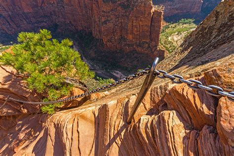 Angels Landing in Zion National Park | Hiking in Zion National Park