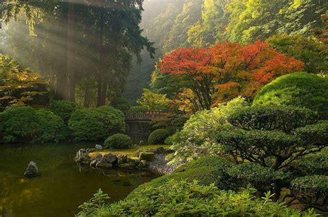 Japanese Garden Wallpapers Top Free Japanese Garden Backgrounds