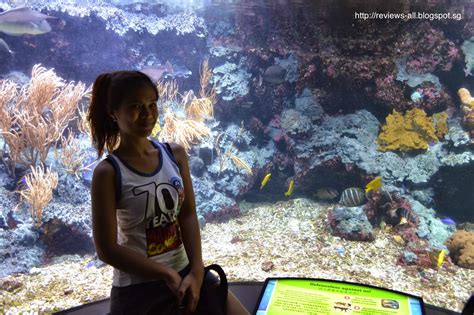 This oceanarium showcases about more than 2500 marine life from 250 different species. We'll Tell You - A&W Couple's Blog: Underwater World ...