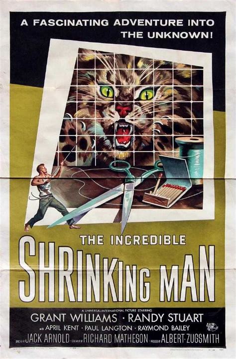 Incredible Shrinking Man The 1957 Science Fiction Film Sci Fi