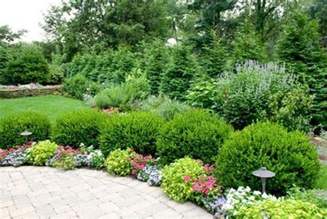 20 Creative Ideas Make Evergreen Garden For Your Front Yard Landscape